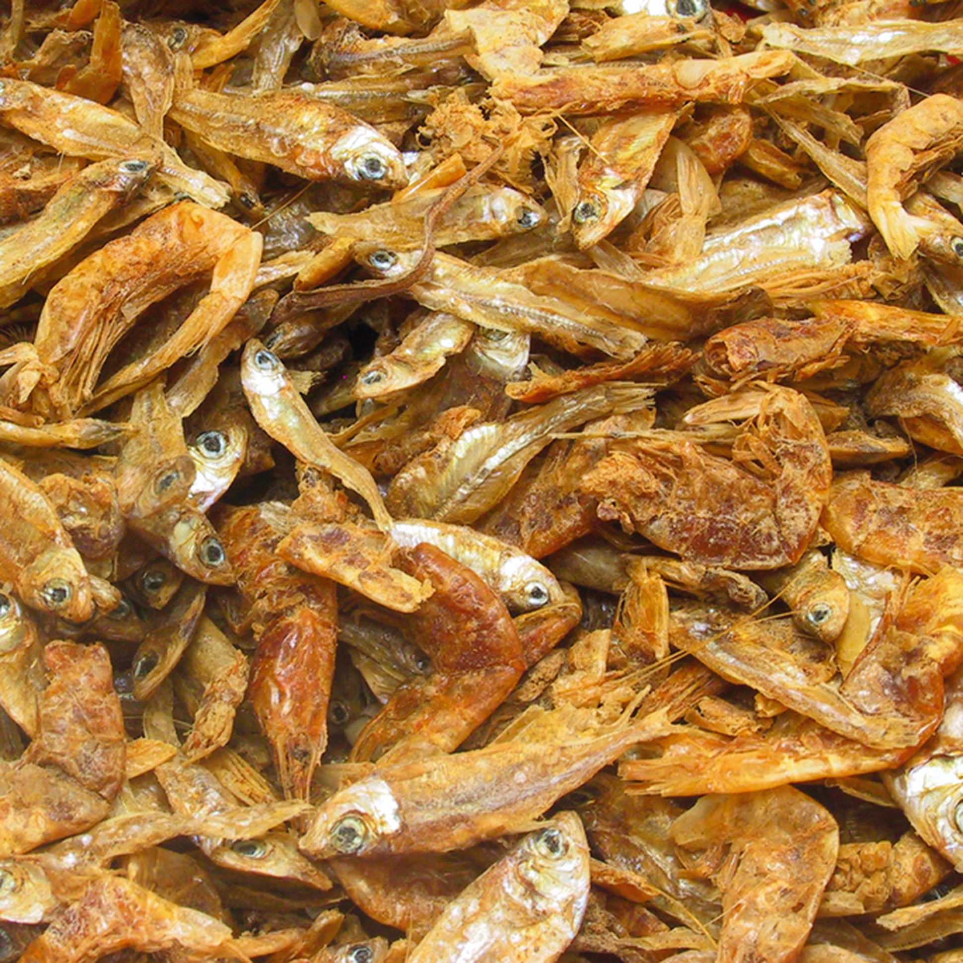 красноухой черепашки с рыбками. черепаха и рыбки. рыба для черепах. аквариум для черепахи. аквариумная черепаха красноухая.