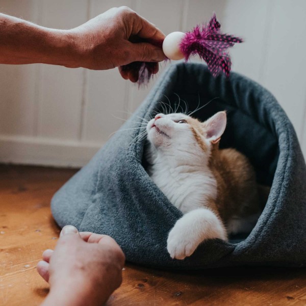 Hunde- und Katzenschlafplatz Samara Ø 50 cm, anthrazit