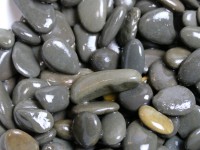 Black Sambia 10kg 13mm - 15mm Black Sambia 10kg 13mm - 15mm