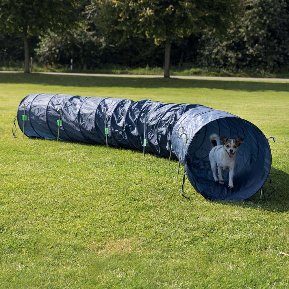 Agility Tunnel D60x500cm Zubehör Hundezubehör Hund wir fürs tier